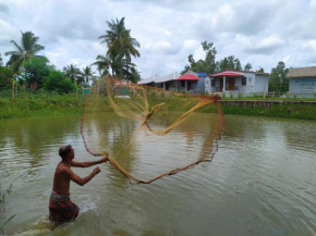 sundarban jungle mahal resort